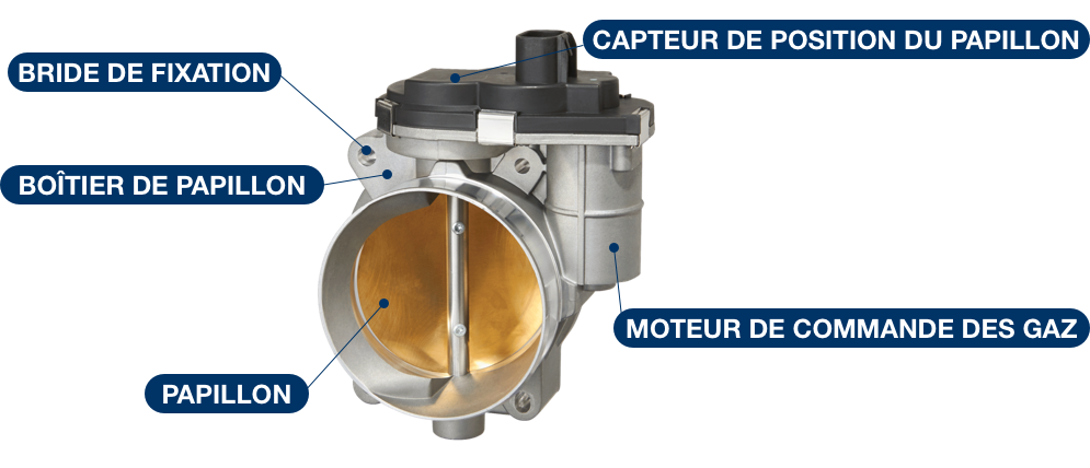 Composants des commandes électroniques du papillon des gaz: capteur de position du papillon, bride de fixation, boîtier de papillon, moteur de commande des gaz, papillon